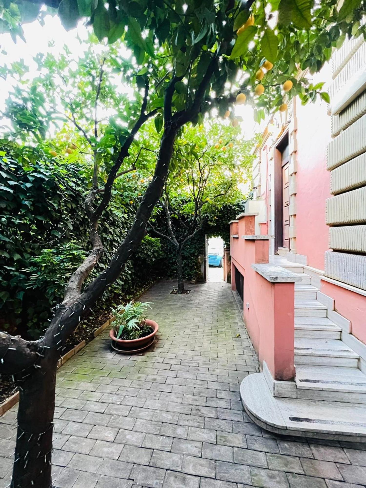 Orange Garden Guest House — Photos 3